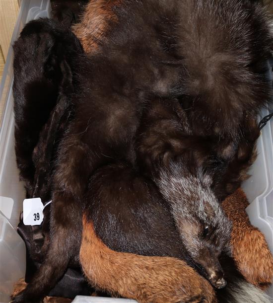 A collection of fox tails, mink tails etc